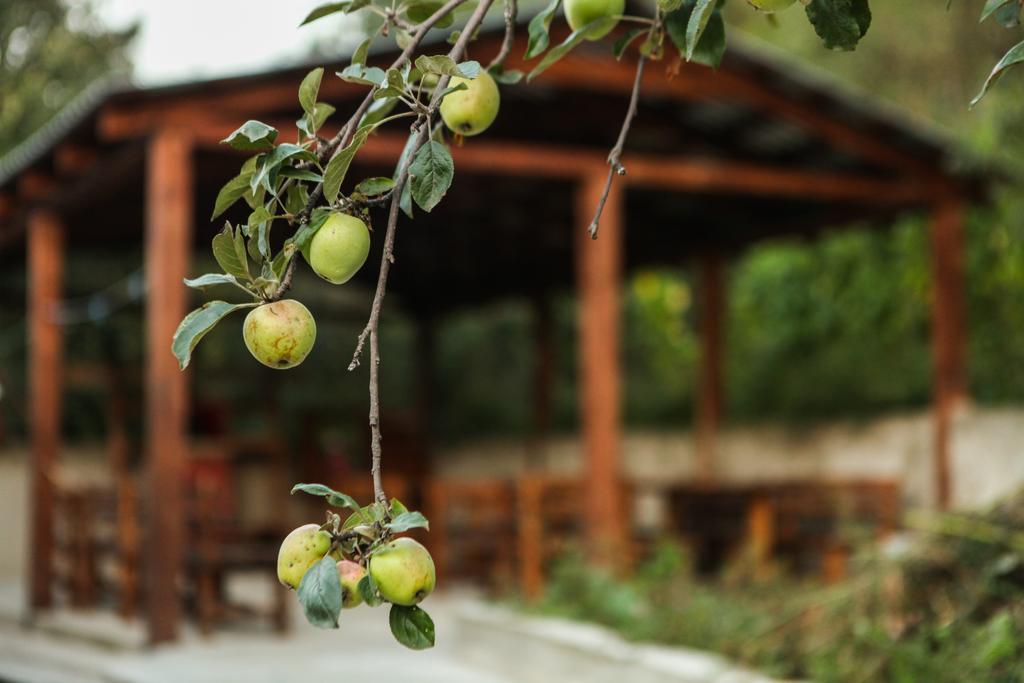 Guest House Dilijan Orran Zewnętrze zdjęcie